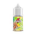 Жидкость BLAZE Salt - Lime Pineapple Blend Жидкость BLAZE Salt - Lime Pineapple Blend
