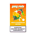 Сменный Картридж для Gang Pen - Хвоя-Фрукты2 Сменный Картридж для Gang Pen - Хвоя-Фрукты2