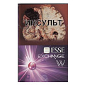 Сигареты с/ф ESSE SS Exchange W mini Сигареты с/ф ESSE SS Exchange W mini